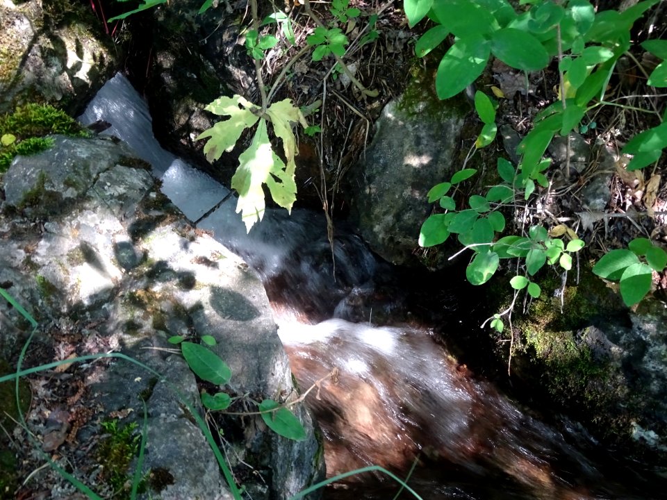 Le ruisseau coule fort en cette mi-août 