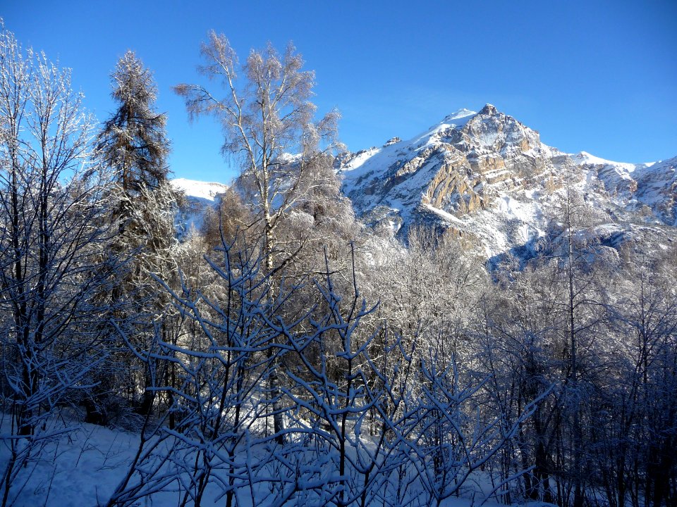 Le Montbrison 