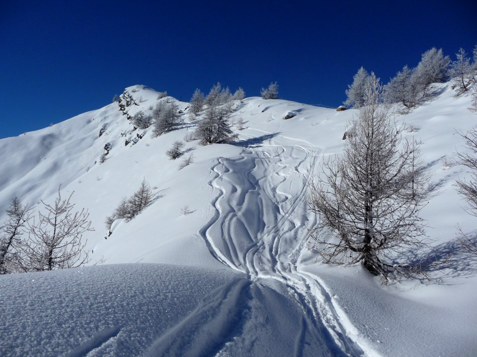 Traces sous la piste des Crêtes, Puy-St-Vincent 