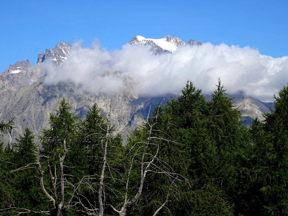 Le Mont Pelvoux 
