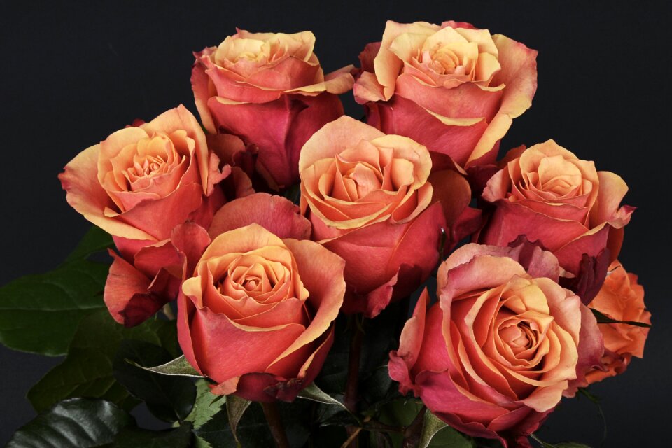 Romantic love fragrance