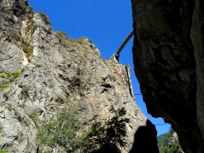 DSC01568 