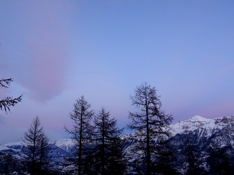 DSC03367 