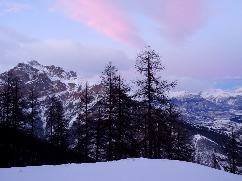 DSC03370 