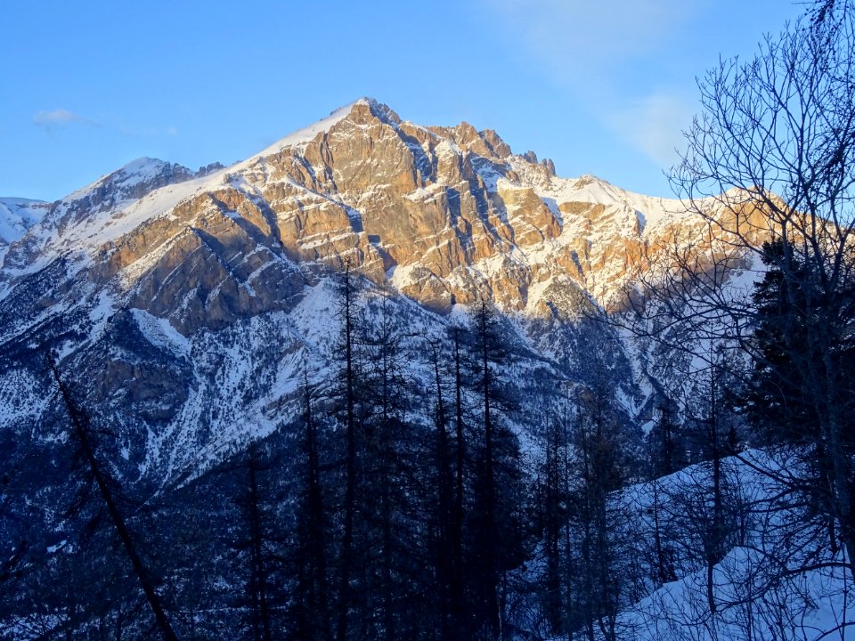 DSC03330 