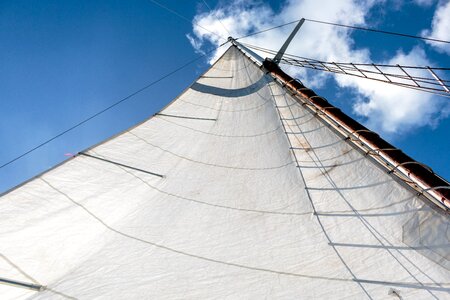 Main sail sail boat main mast
