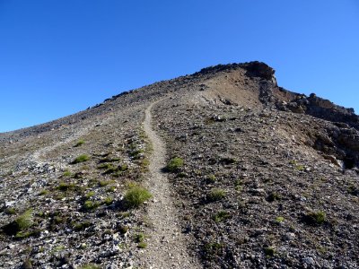 La trace jusqu'au sommet de la Tête d'Amont, Montbrison 
