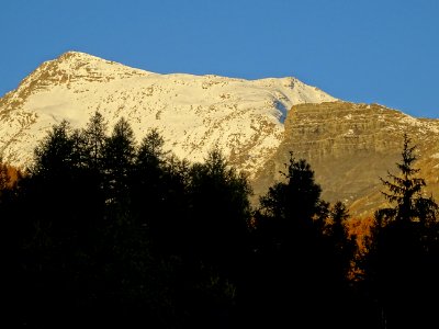 DSC06542 