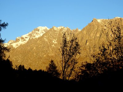 DSC06537 