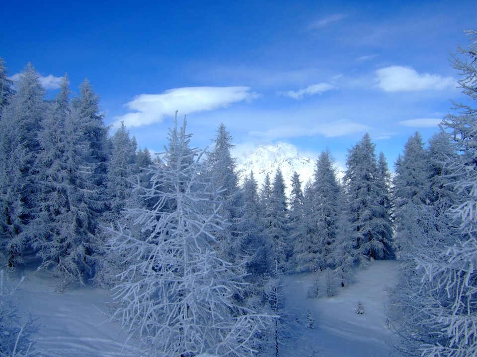 Après une grosse chûte de neige, le grand blanc 