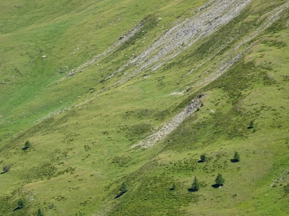 Prairies, pierriers et mélèzes 