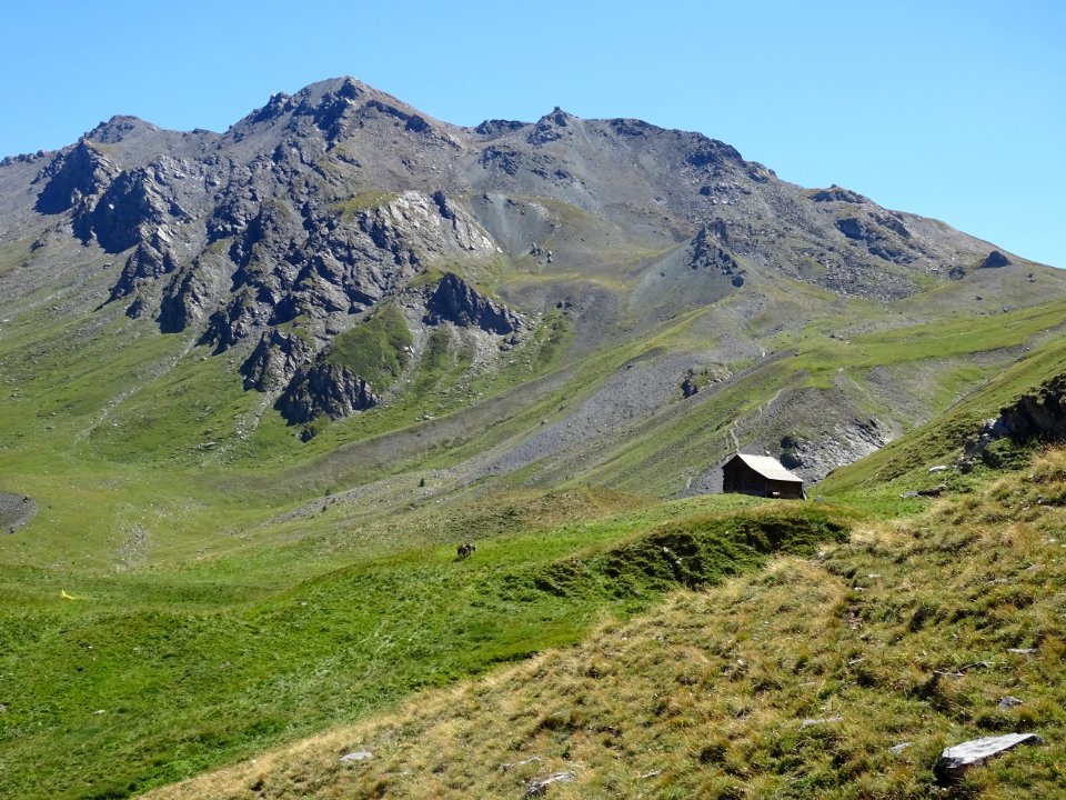 Deux anes, la bergerie Les Coutiers 