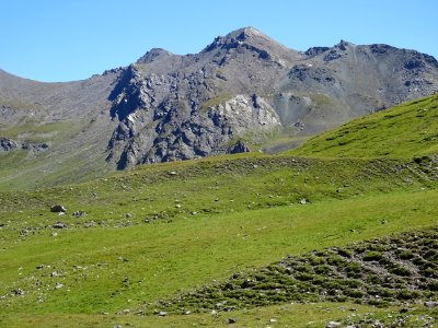 DSC08580 