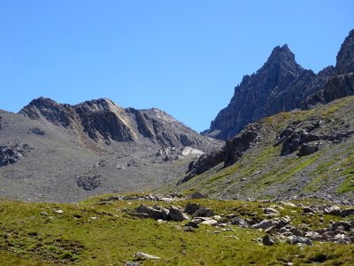 DSC08530 