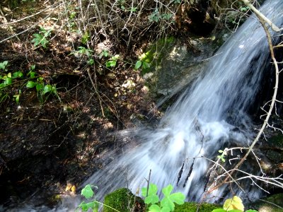 Le ruisseau gicle en une petite cascade 