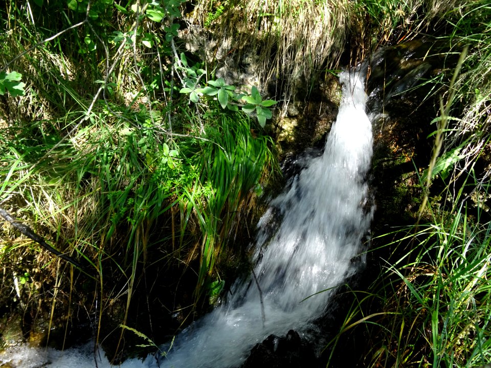 Le ruisseau gicle en une petite cascade 