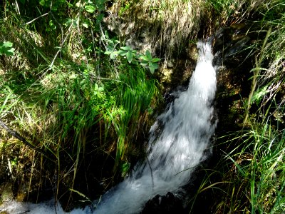 Le ruisseau gicle en une petite cascade 