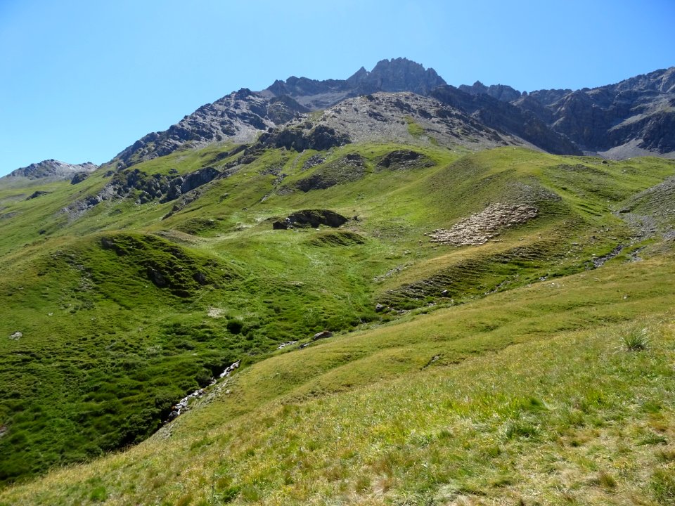 Le troupeau de moutons, près de la bergerie, Les Coutiers 