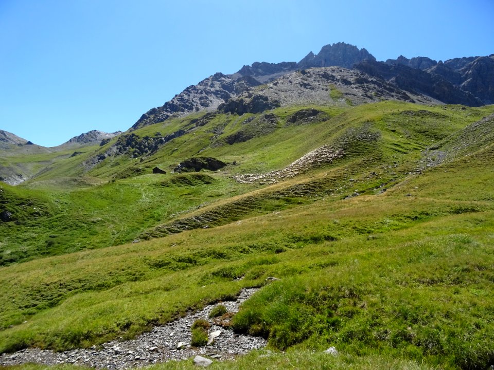 Le troupeau de moutons, près de la bergerie, Les Coutiers 
