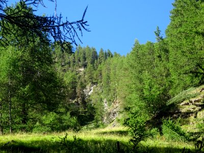 DSC08322 