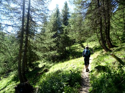 Début de la montée vers le lac des Cordes 