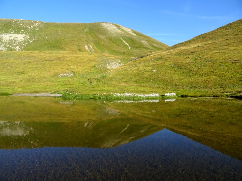Reflets dans le lac de Néal 