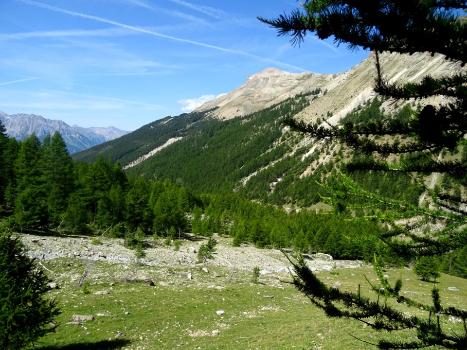 Vallon du torrent de Bouchouse et Crête du Peyron 