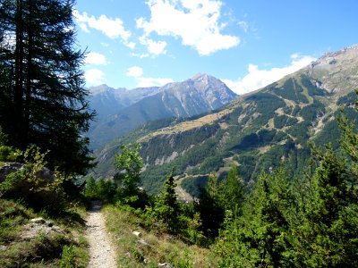 Le sentier dans la descente, les pistes de Pelvoux, Puy-Ai… 