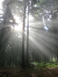 Sun rays sunshine
