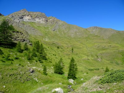 Le Vallon Gras 