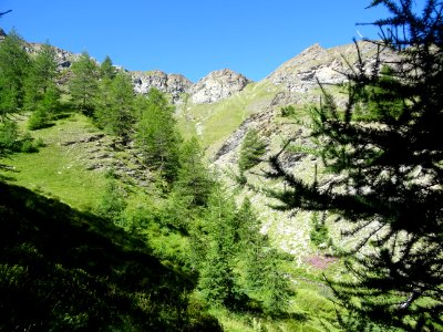 Le Vallon Gras 