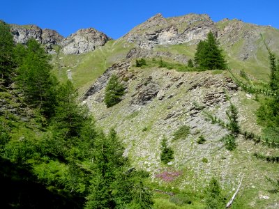 Le Vallon Gras 