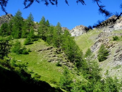 Le Vallon Gras 