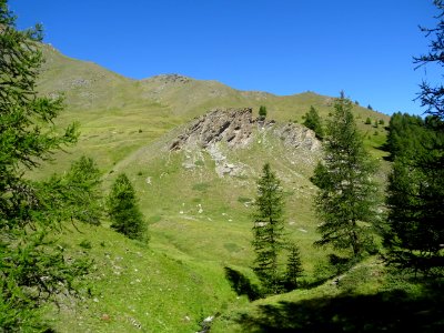 Le Vallon Gras 