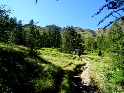 Le sentier se calme un peu et débouche dans le Vallon Gras… 
