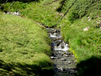 Ruisseau dans le Vallon Gras 