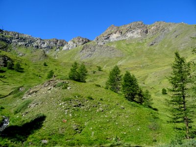 Le Vallon Gras 