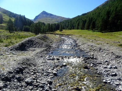 Torrent de la Cerveyrette et le Pic du Lombard 