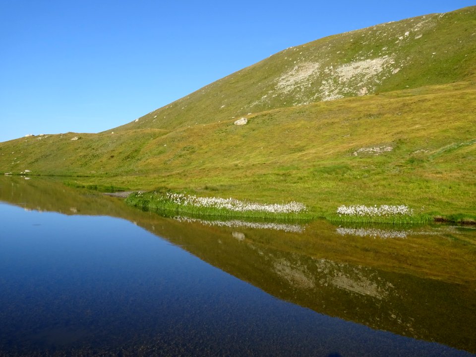 Reflets dans le lac de Néal 
