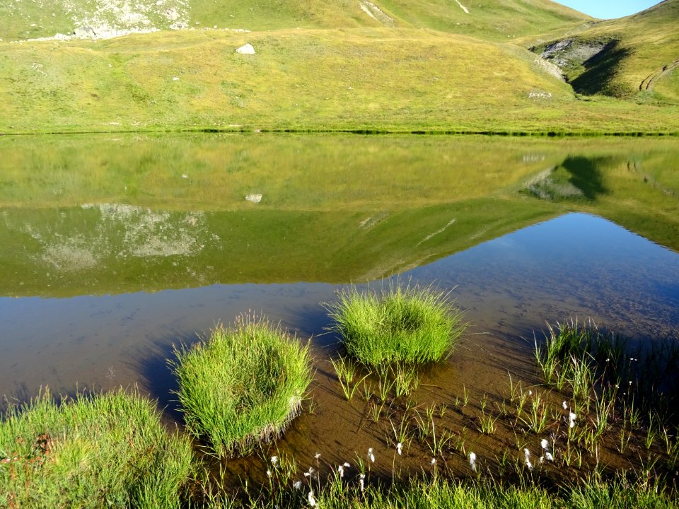 Reflets dans le lac de Néal 