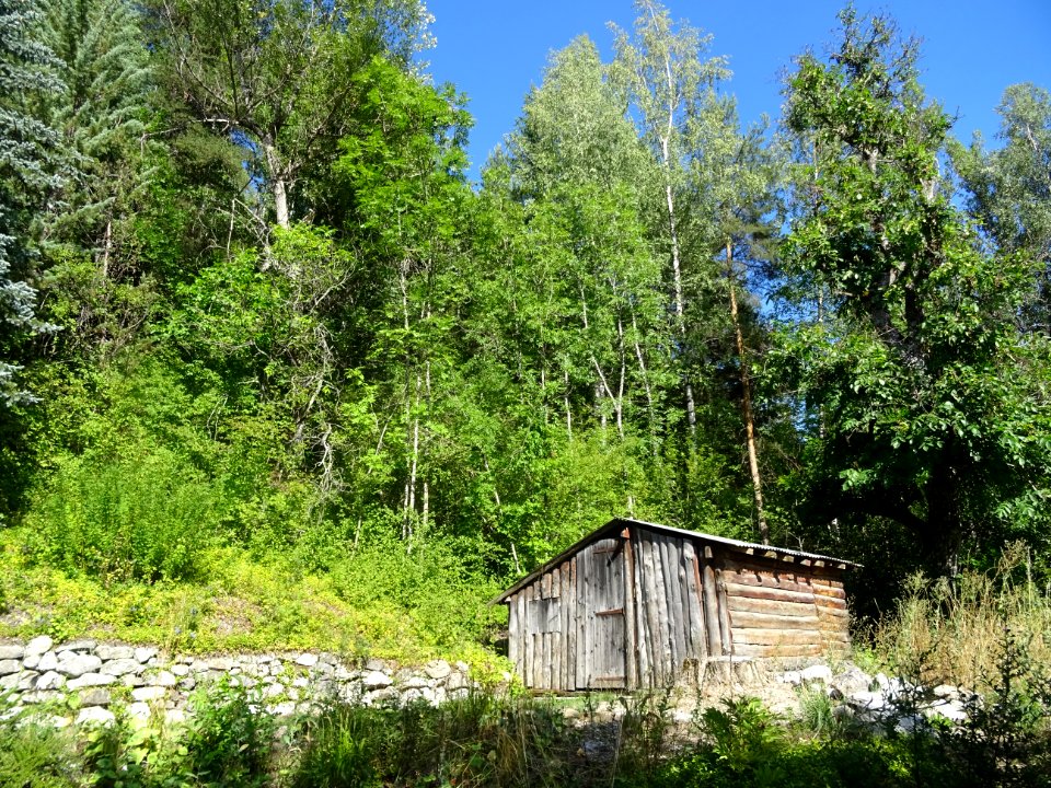 La cabane à outils de Papy 