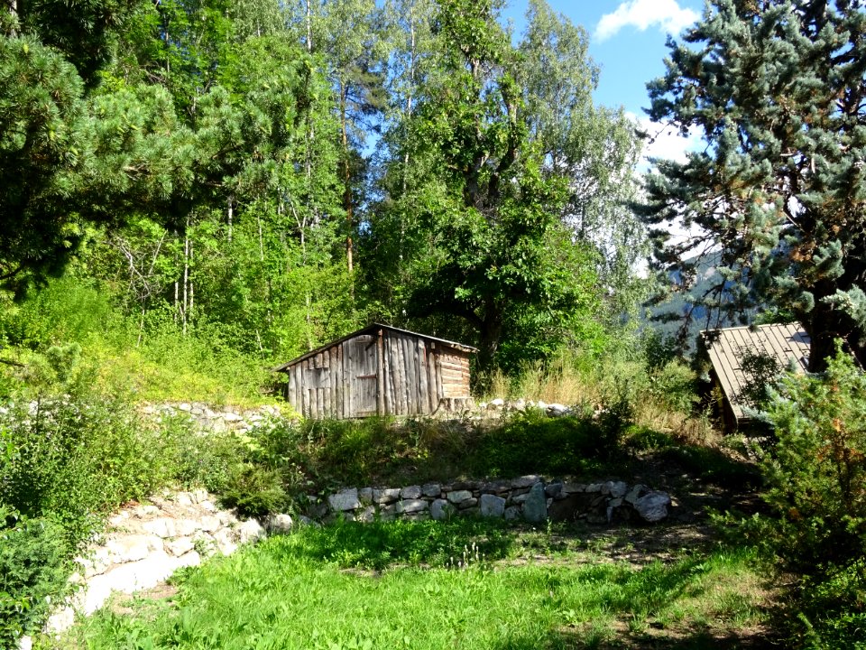 La cabane à outils de Papy 