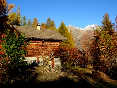 Chalet et le Mont Pelvoux, couleurs d'automne 