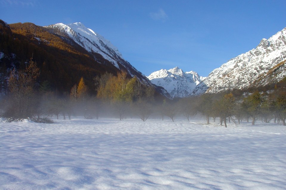 La plaine de Vallouise 
