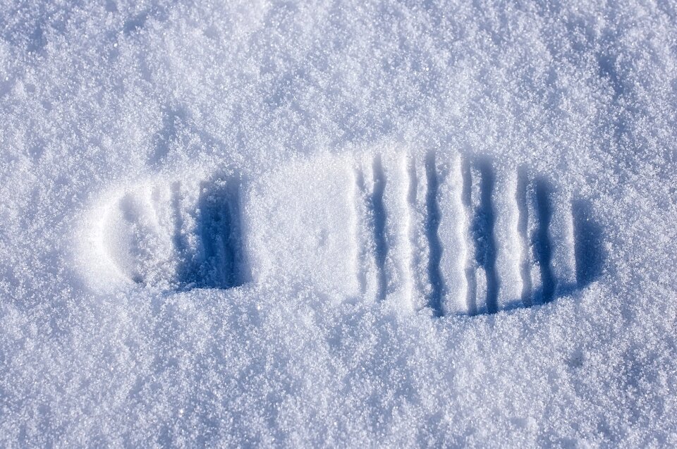 Winter white close up