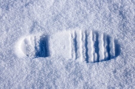 Winter white close up