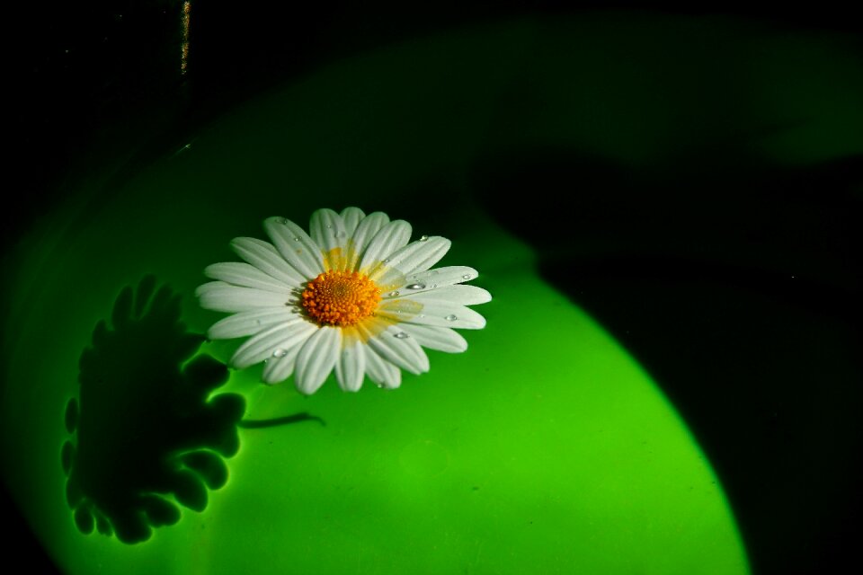 Green on water float