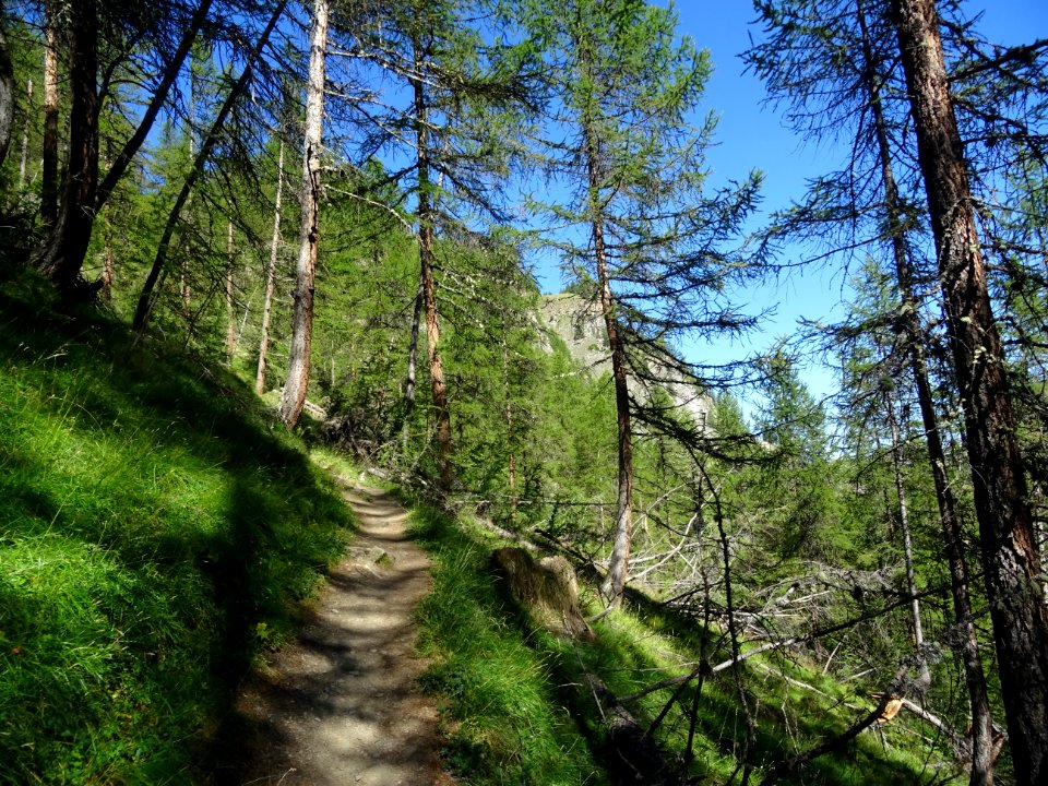 Le sentier vers le lac des Cordes grimpe fort dans le méle… 