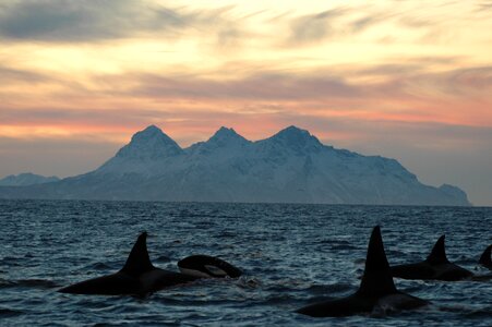 Lofoten islands dusk seascape