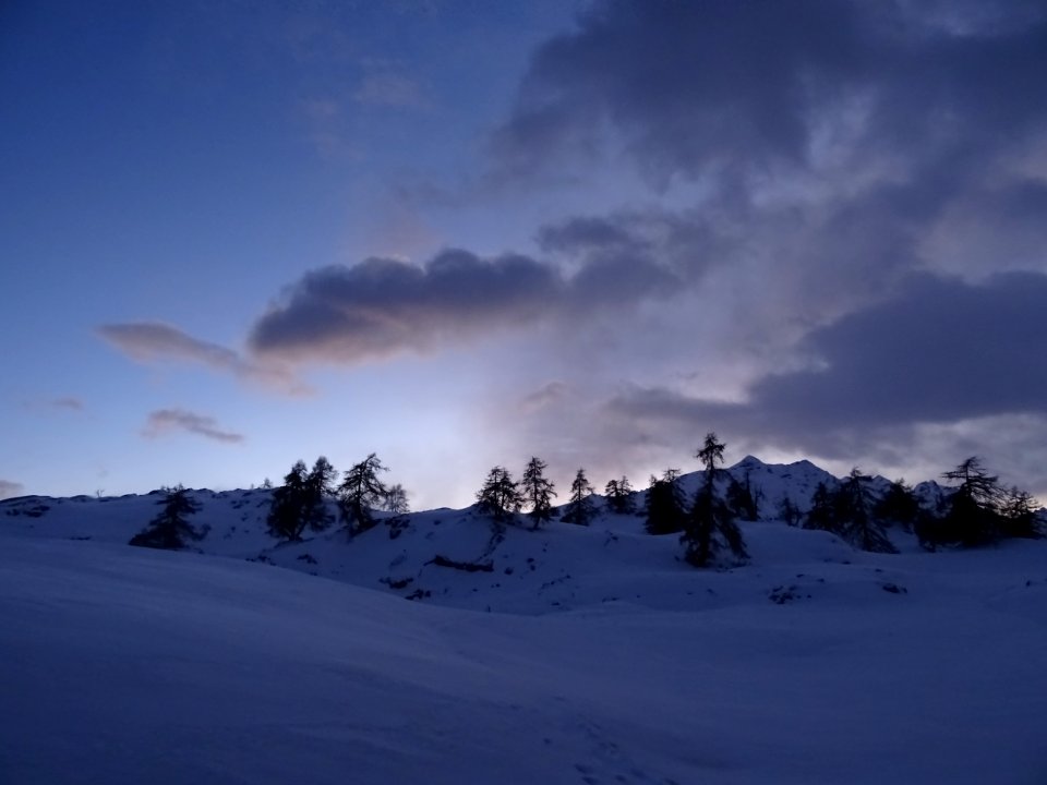 DSC03384 